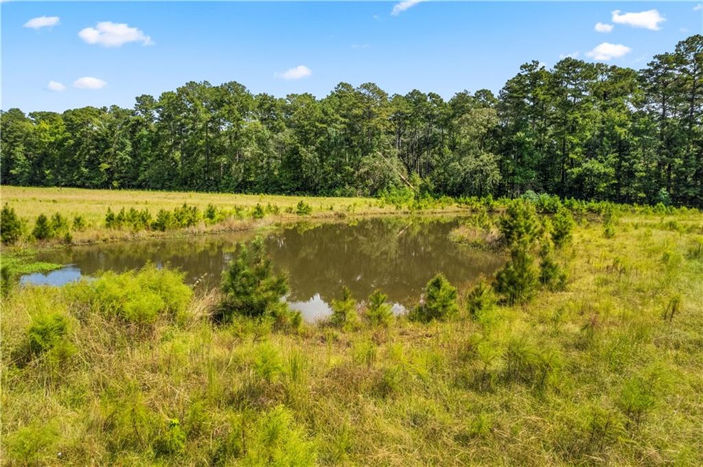 0 Twin Bridges Road Elmer, LA 71424 - Photo 5 of 12 Gallery Image 5