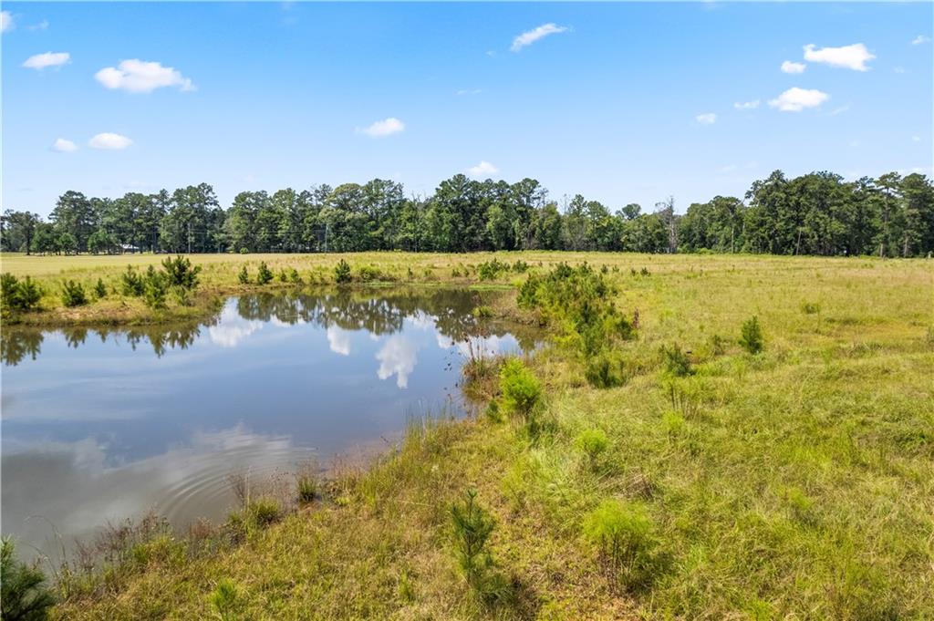 0 Twin Bridges Road Elmer, LA 71424 - Photo 6 of 12 Gallery Image 6