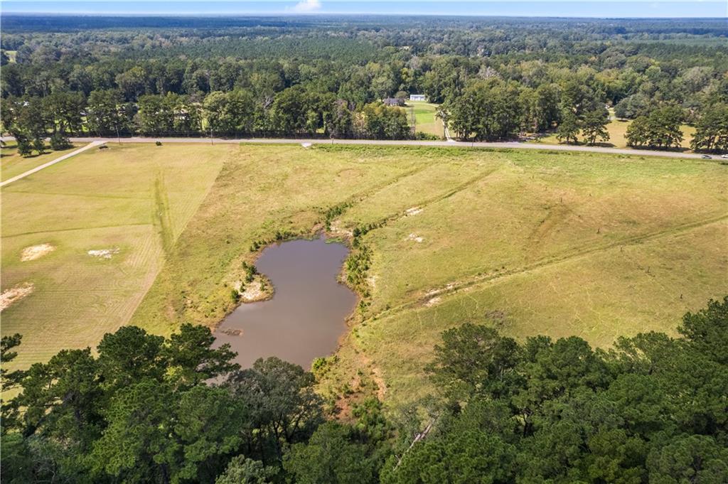 0 Twin Bridges Road Elmer, LA 71424 - Photo 10 of 12 Gallery Image 10