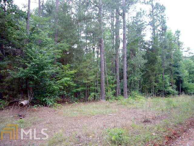 0 Pine Ridge Road Elberton, GA 30635 - Photo 1 of 1 Gallery Image 1