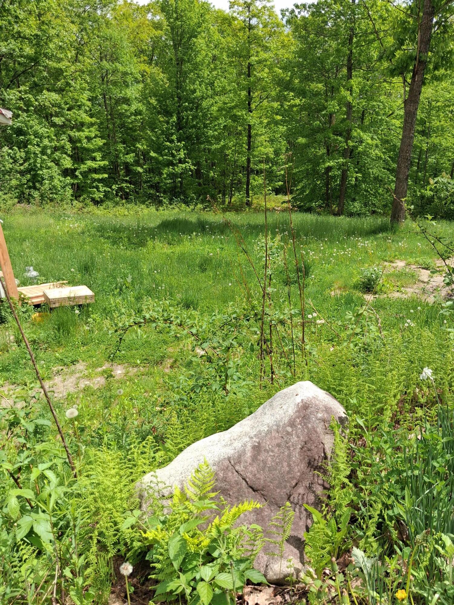 209 Adams Road Chesterville, ME 04938 - Photo 6 of 9 Land
