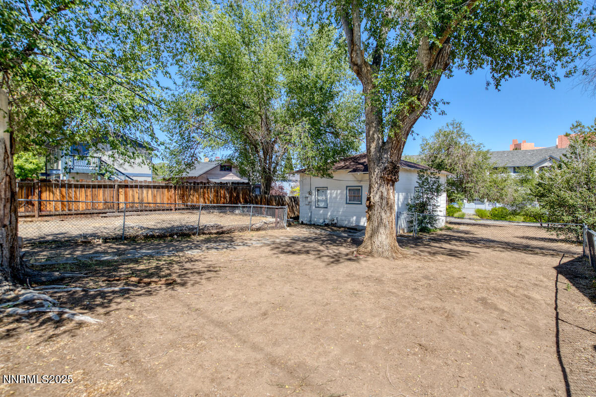 1151 Seminary Avenue Reno, NV 89503 - Photo 5 of 12 a view of a yard with large tree
