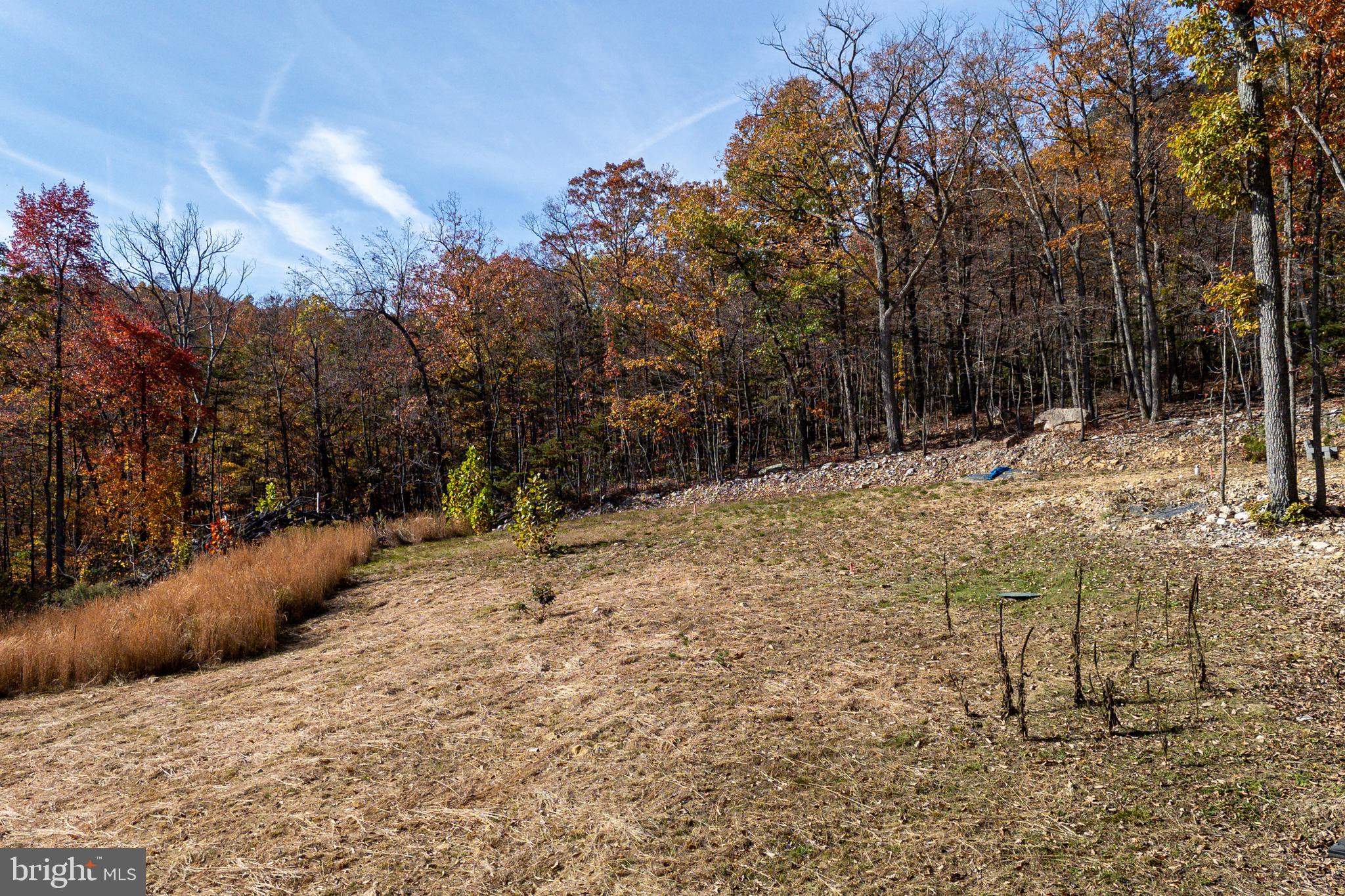 0 Moreland Gap Road Mount Jackson, VA 22842 - Photo 17 of 37