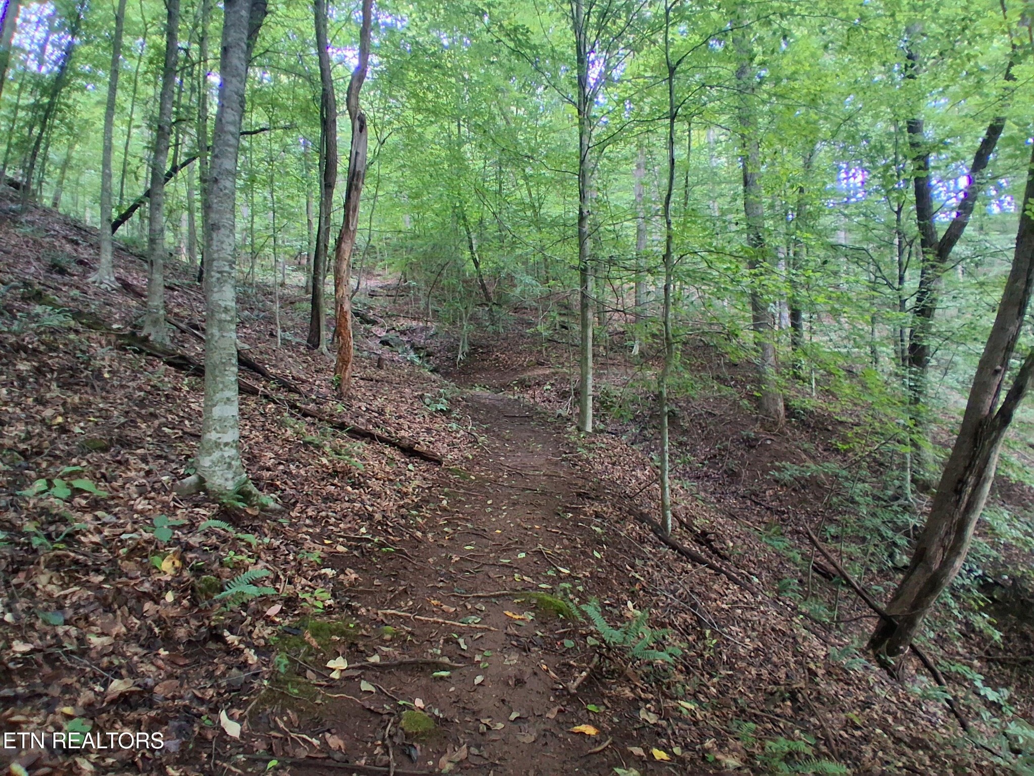 291 Evans Ridge Road Speedwell, TN 37870 - Photo 49 of 50 Gallery Image 49
