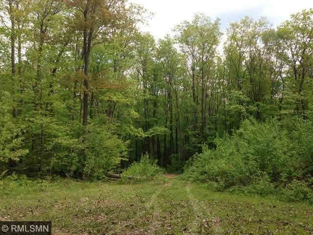 Xxx Xxx Elwell Road Bruno, MN 55712 - Photo 2 of 6 Gallery Image 2