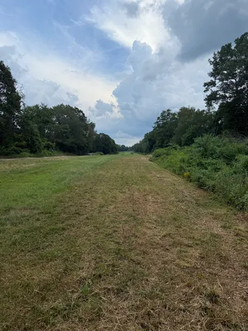 a view of a field with an ocean