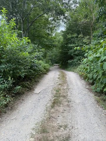 a view of a dirt road with trees
