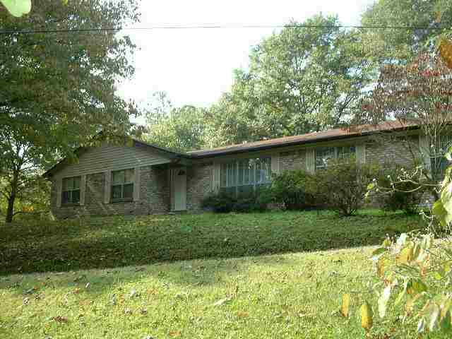 Main View
