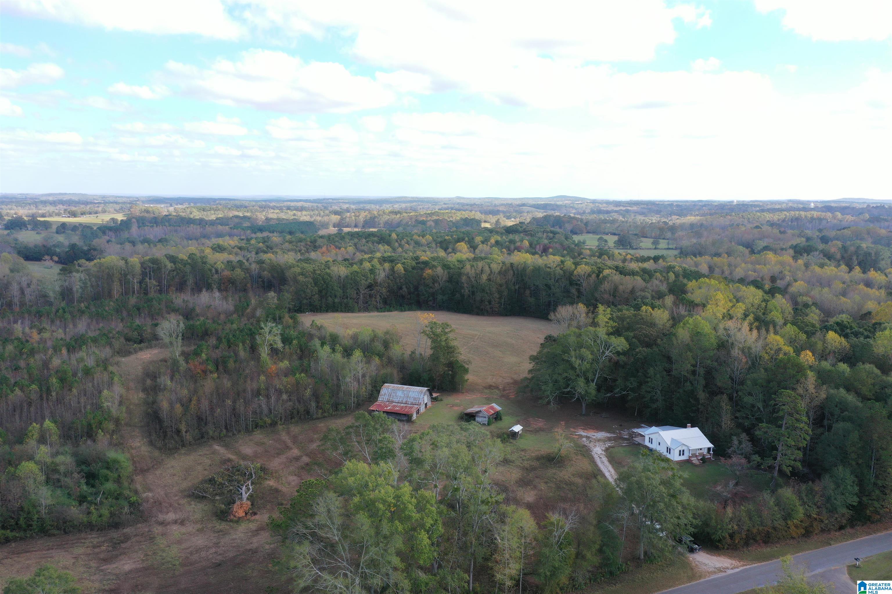 2518 Oak Grove Road Lineville, AL 36266 - Photo 13 of 48 Gallery Image 13