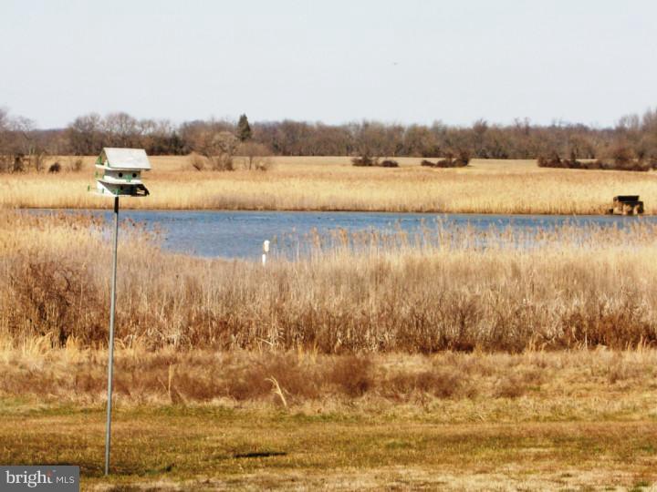 1323 Bayview Road Middletown, DE 19709 - Photo 24 of 25 Lake / Pond