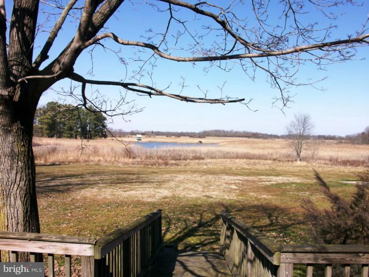 1323 Bayview Road Middletown, DE 19709 - Photo 25 of 25 View in Back