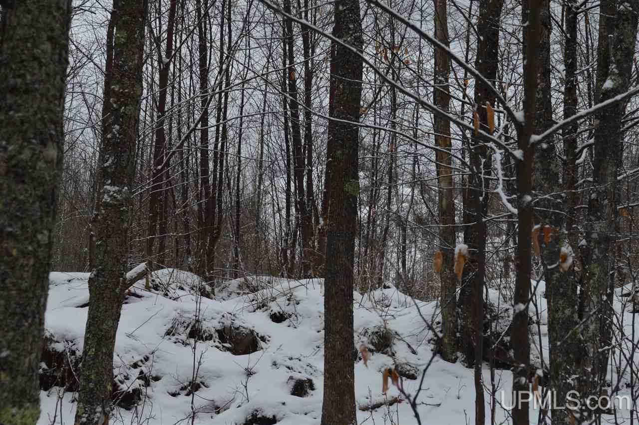 Tbd Herman Road Lanse, MI 49946 - Photo 29 of 50 Gallery Image 29