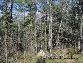 119 Beaver Ridge Road Asheville, NC 28804 - Photo 17 of 18 Gallery Image 17