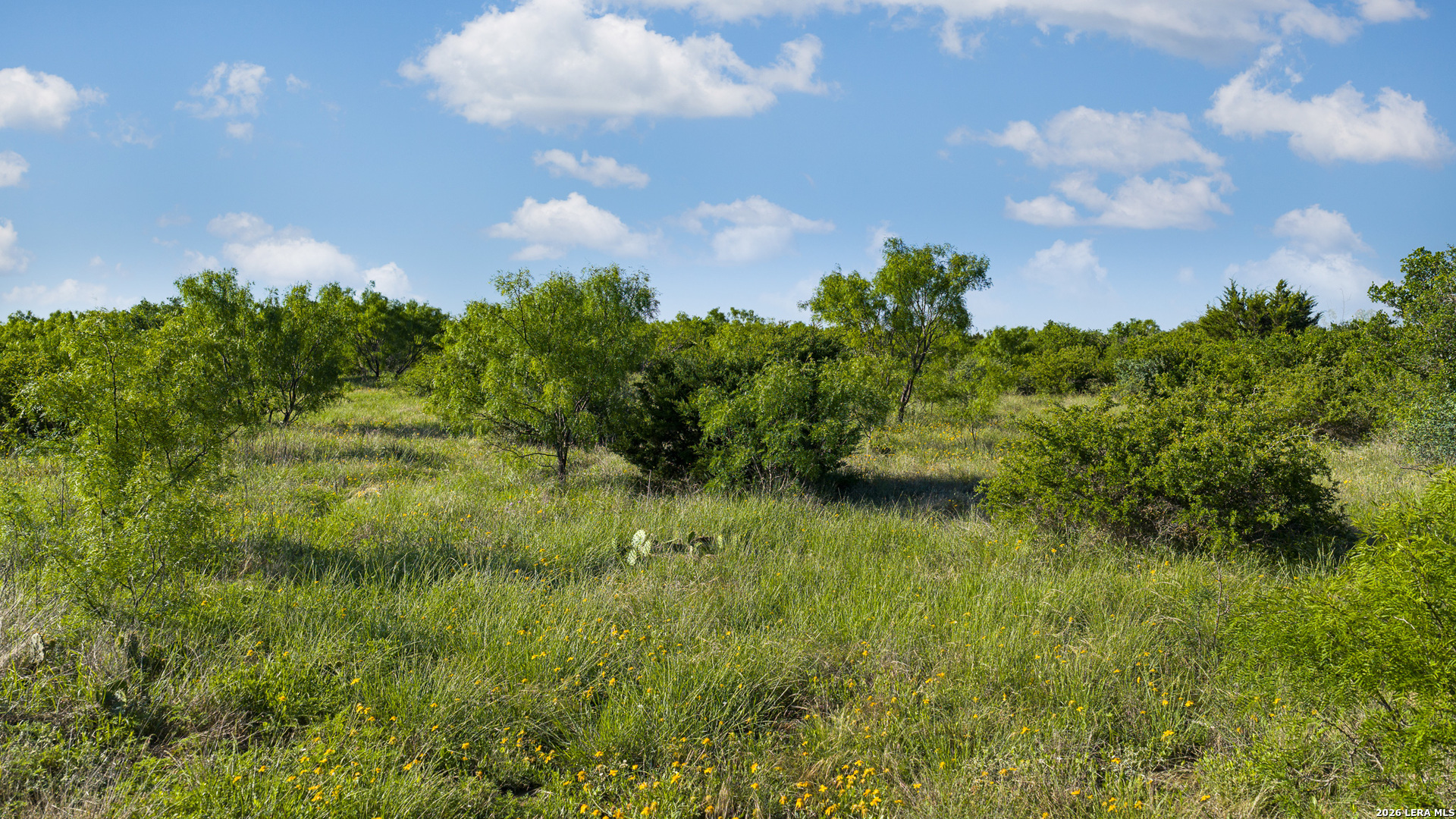 0 Rm 1221 London, TX 76854 - Photo 24 of 50 Gallery Image 24