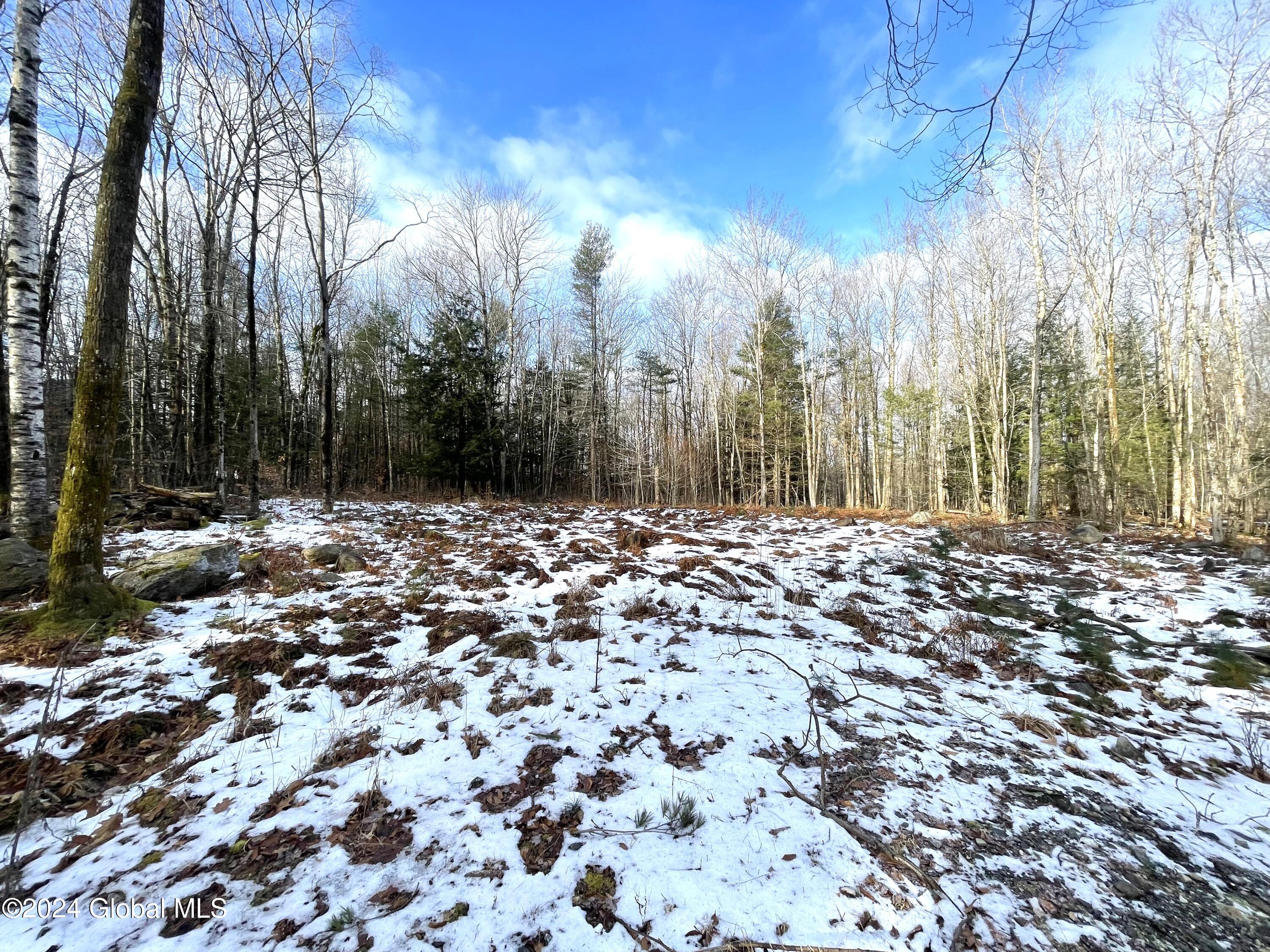 15 Walk Road Sand Lake, NY 12153 - Photo 5 of 10 5 Large Cleared Area