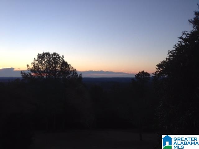 4801 South Shades Crest Road Helena, AL 35080 - Photo 27 of 31
