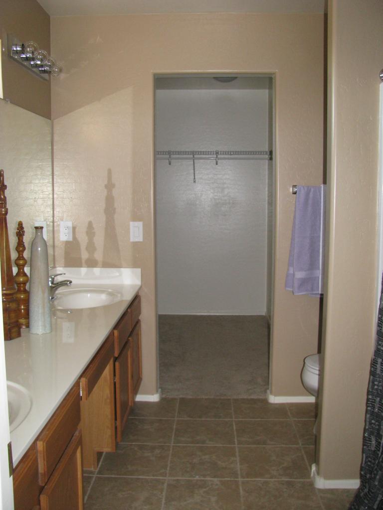 43181 West Cowpath Road Maricopa, AZ 85138 - Photo 12 of 15 master bath