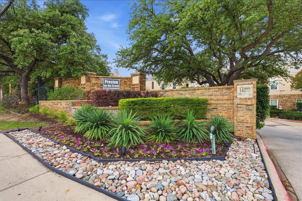 a view of backyard with plants and trees