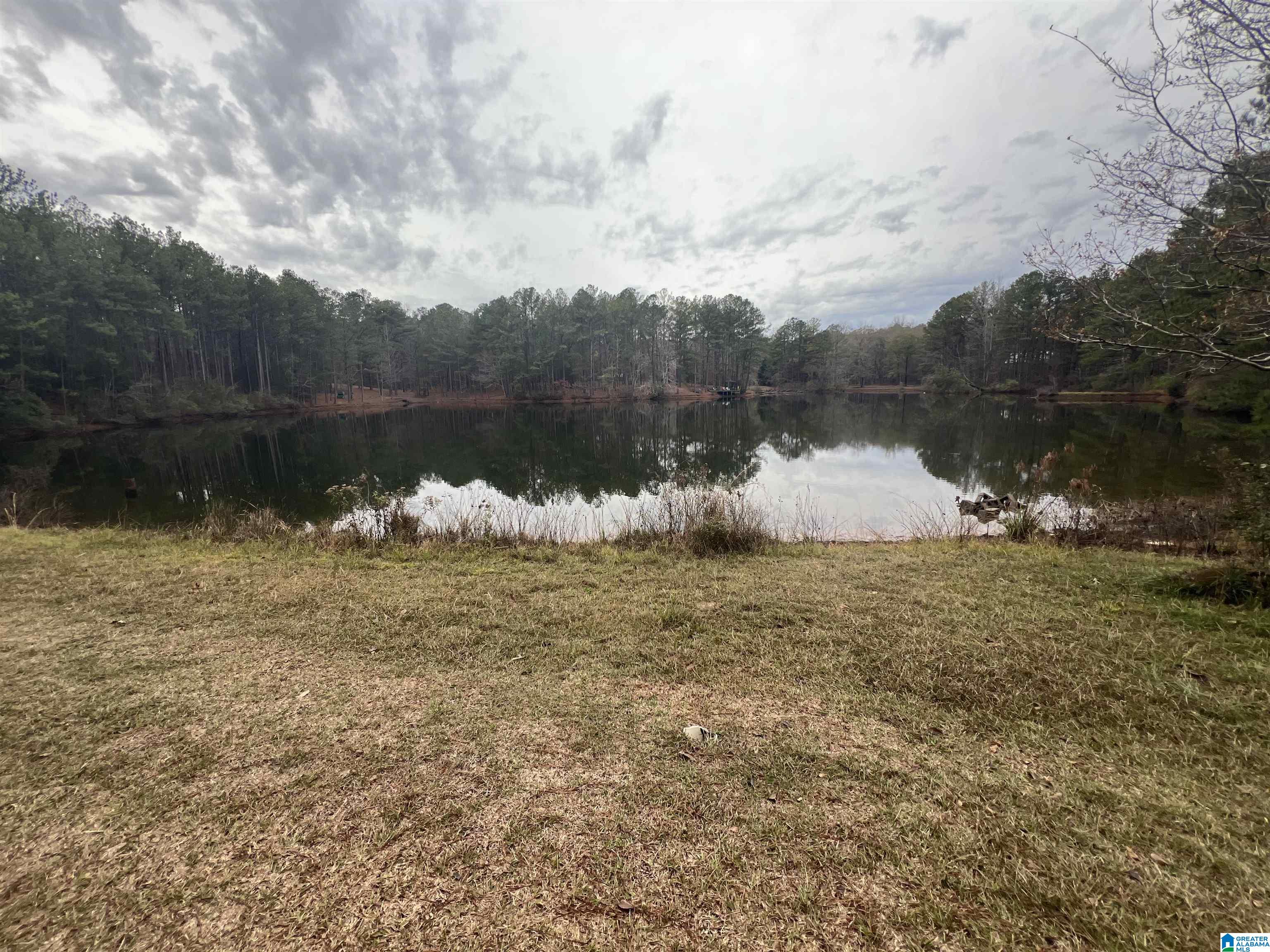 1071 Cornelia Road Brierfield, AL 35035 - Photo 21 of 48