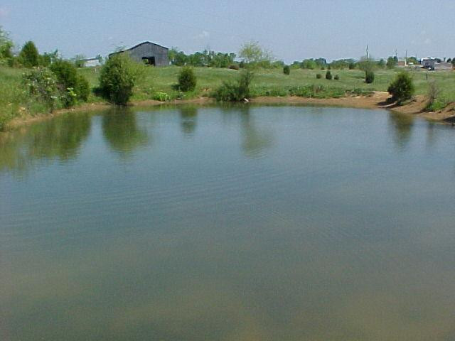 123 Swope Road Stanford, KY 40484 - Photo 14 of 17 Photo 14