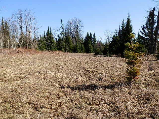70 Fifield Wi 54524, Unit A Fifield, WI 54524 - Photo 9 of 18 Gallery Image 9