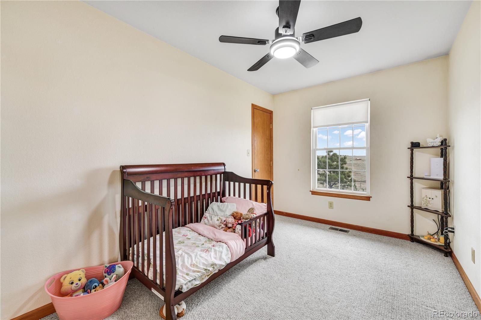 25935 Judge Orr Road Calhan, CO 80808 - Photo 24 of 50