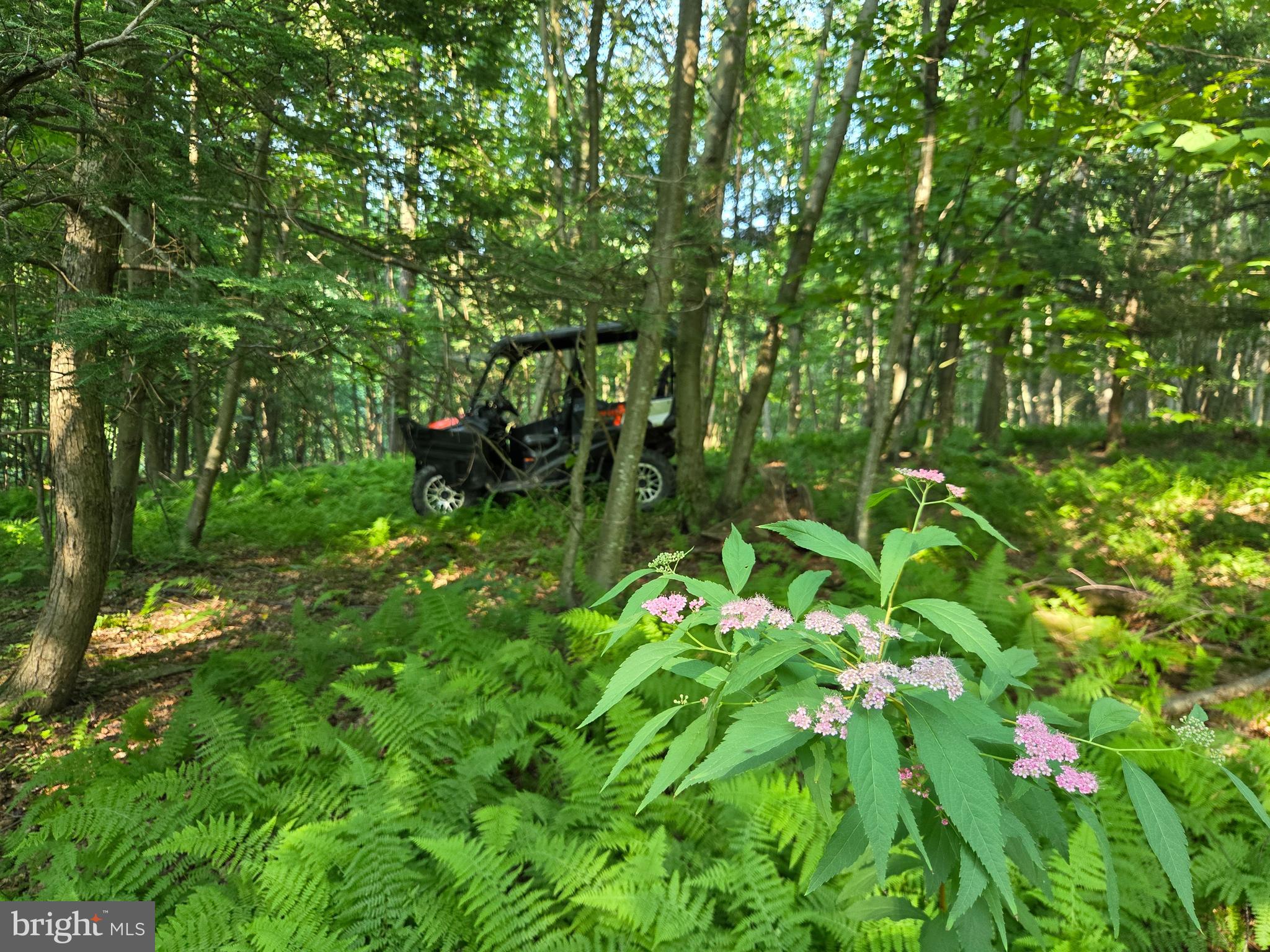 0 Carlisle Gap Road Lewistown, PA 17044 - Photo 21 of 53