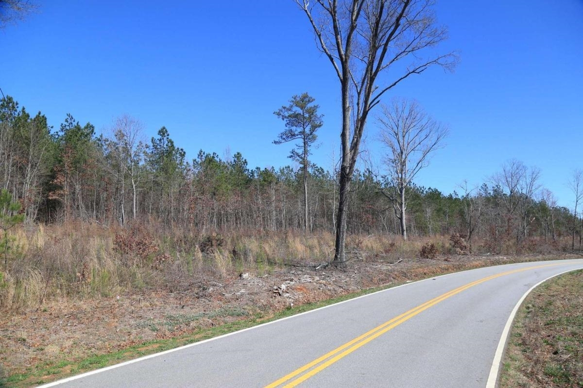 1 Old Driver Road Whitesburg, GA 30185 - Photo 1 of 1 Gallery Image 1