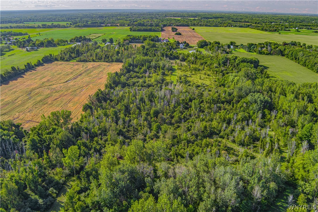 Vl Lake Road Barker, NY 14012 - Photo 19 of 23 Gallery Image 19