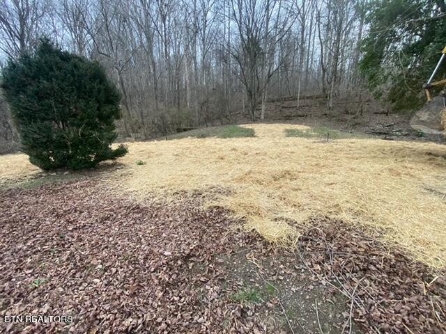 1571 Sweetwater Road Philadelphia, TN 37846 - Photo 9 of 10 IMG_4794