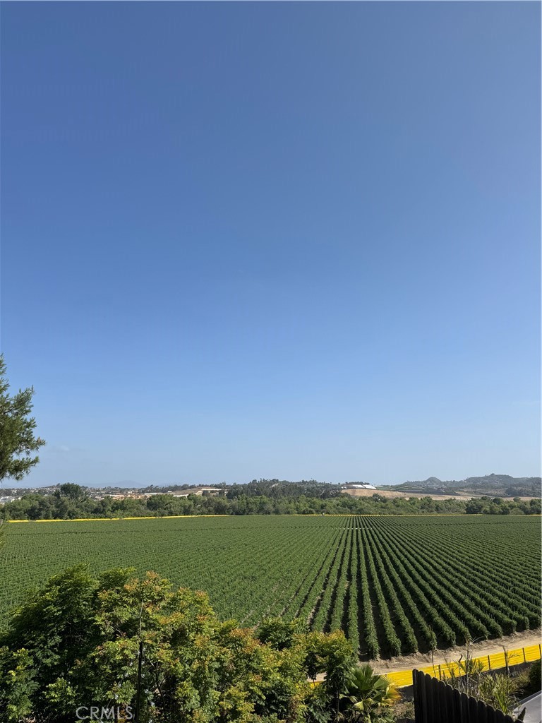 5392 Gooseberry Way Oceanside, CA 92057 - Photo 24 of 40