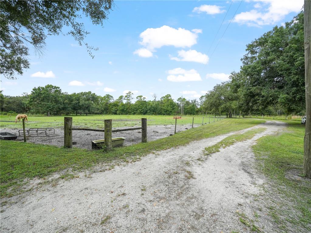 4485 Murphy Road Ona, FL 33865 - Photo 37 of 41 a view of a park