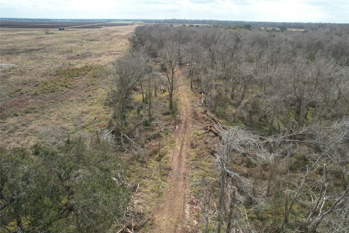 0 Redwood Street Rosharon, TX 77583 - Photo 4 of 11 a view of a dry yard with trees