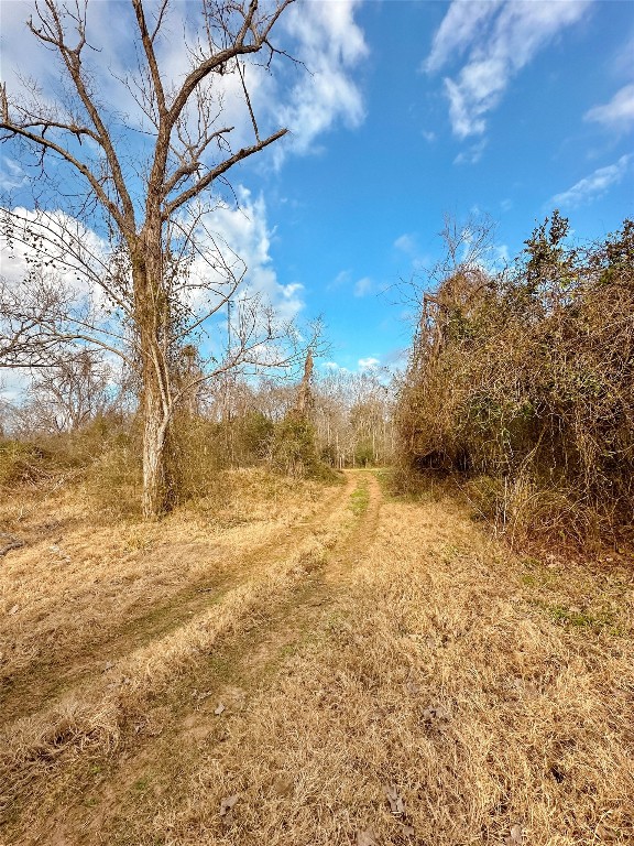 0 Redwood Street Rosharon, TX 77583 - Photo 5 of 11 a view of yard with trees
