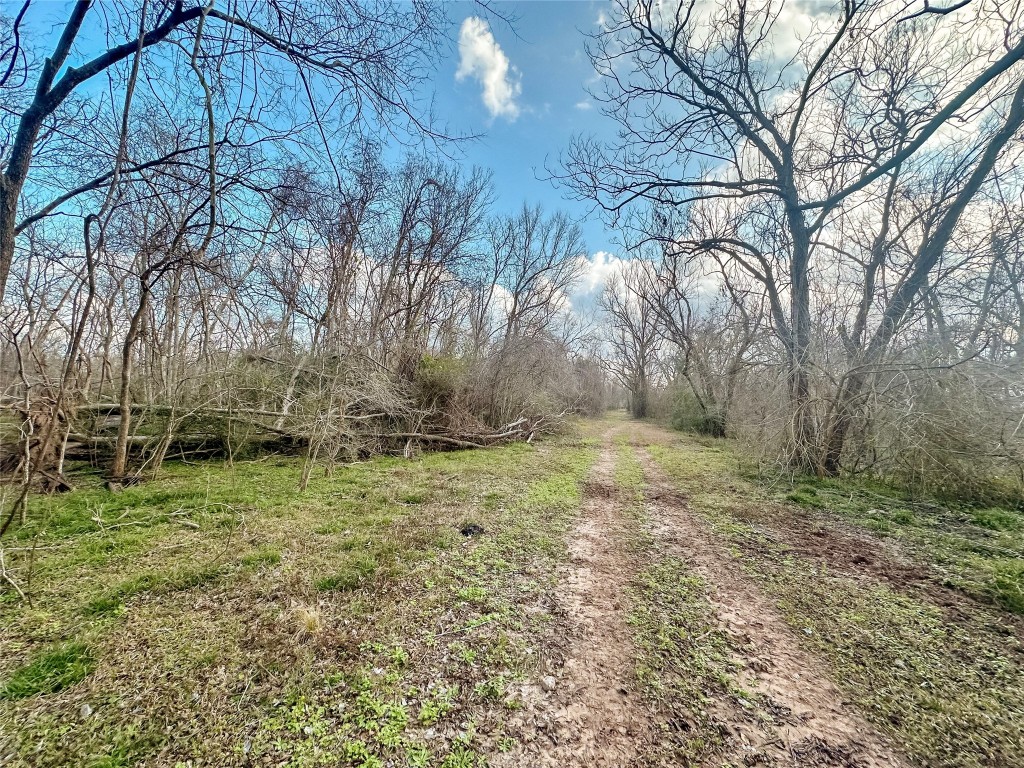 0 Redwood Street Rosharon, TX 77583 - Photo 6 of 11 a backyard of a house with lots of green space
