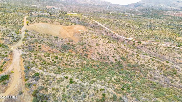 an aerial view of houses covered in trees
