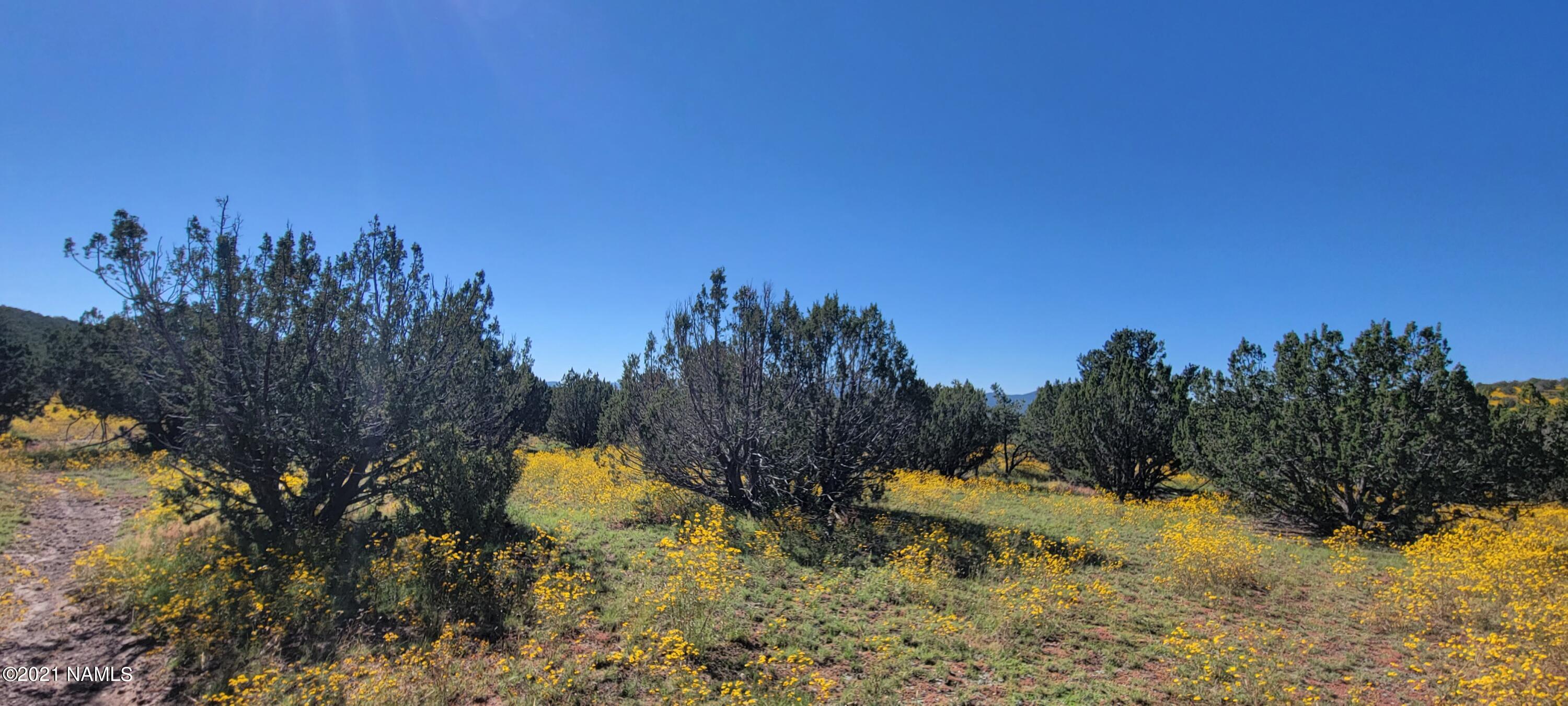 0 Grantham Ranch Road Williams, AZ 86046 - Photo 3 of 6 20210921_095618