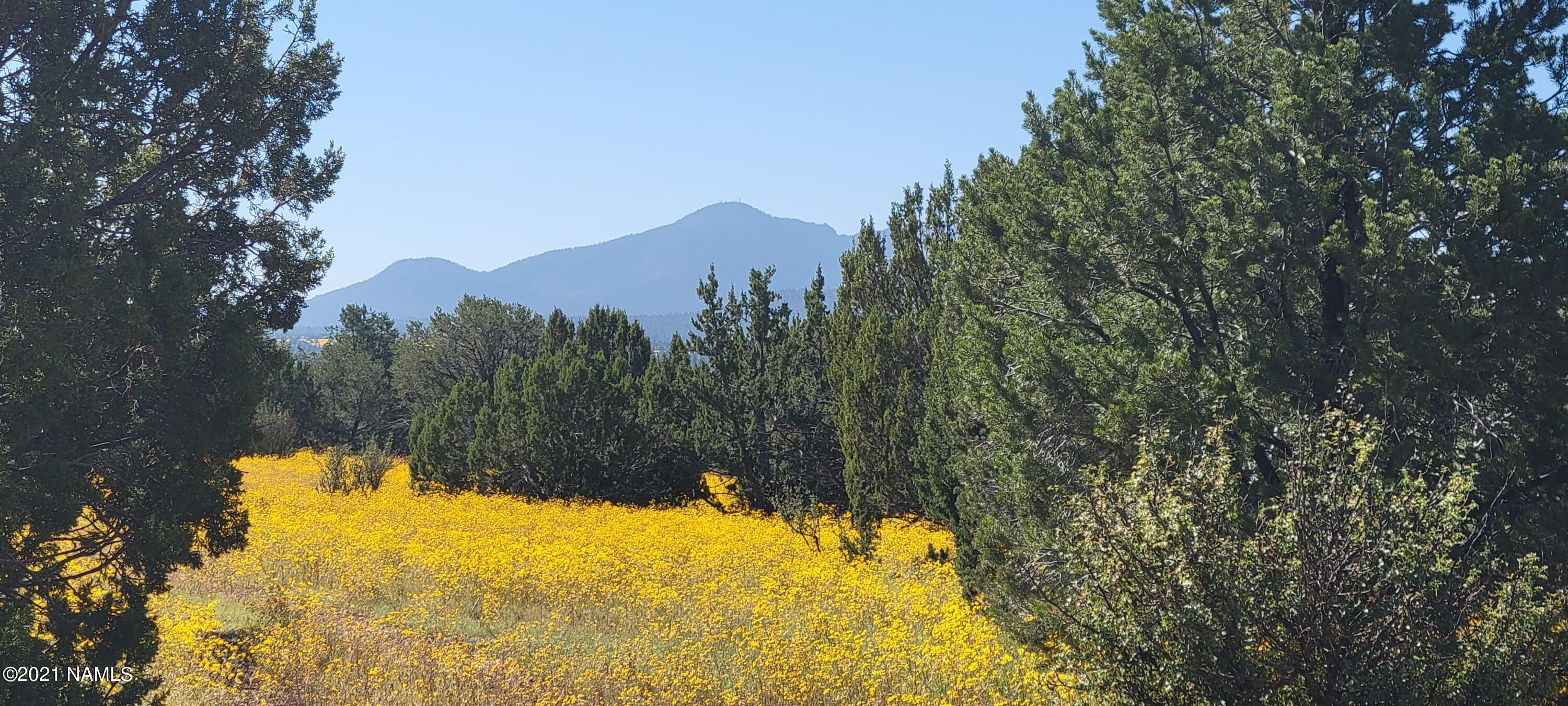 0 Grantham Ranch Road Williams, AZ 86046 - Photo 4 of 6 20210921_095747