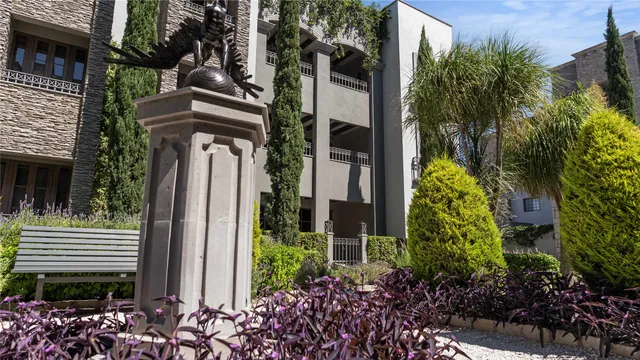 a view of a garden with plants