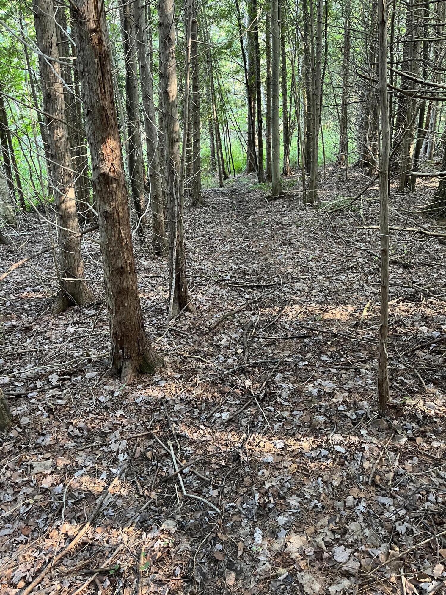 Swamp Road Frankfort, MI 49635 - Photo 1 of 14 IMG_5591