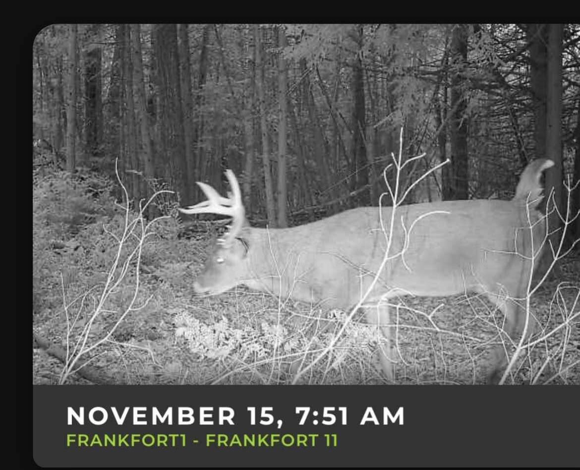 Swamp Road Frankfort, MI 49635 - Photo 14 of 14 IMG_1772