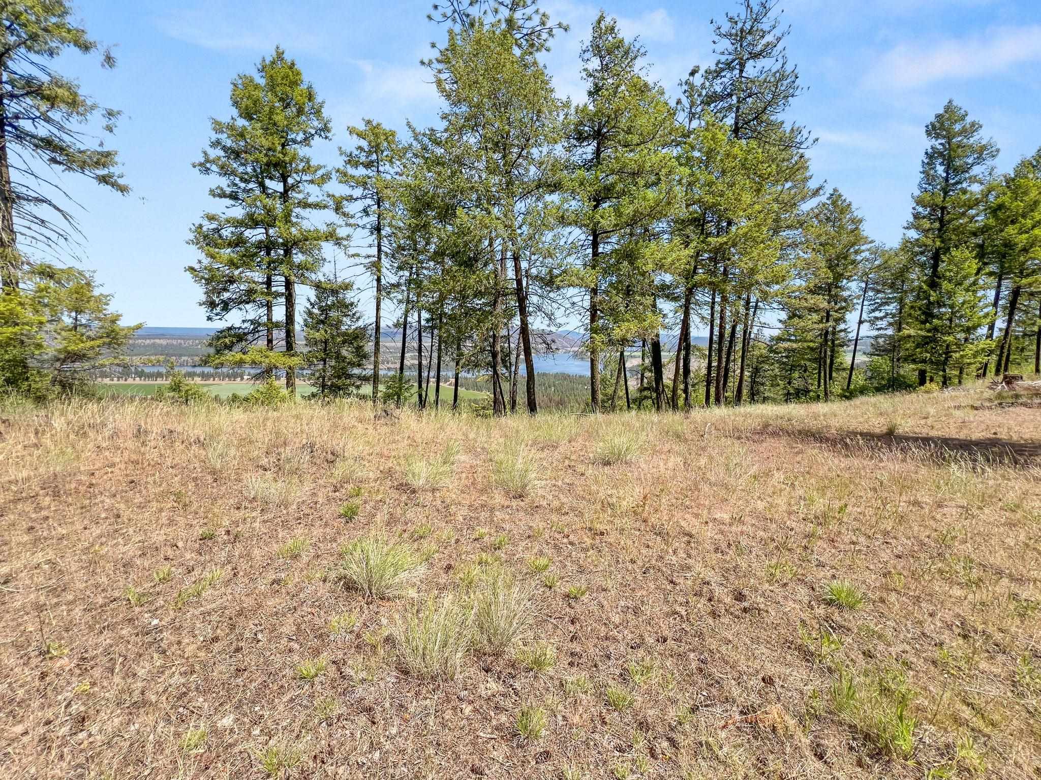 0 West Highland Road Ford, WA 99013 - Photo 26 of 41