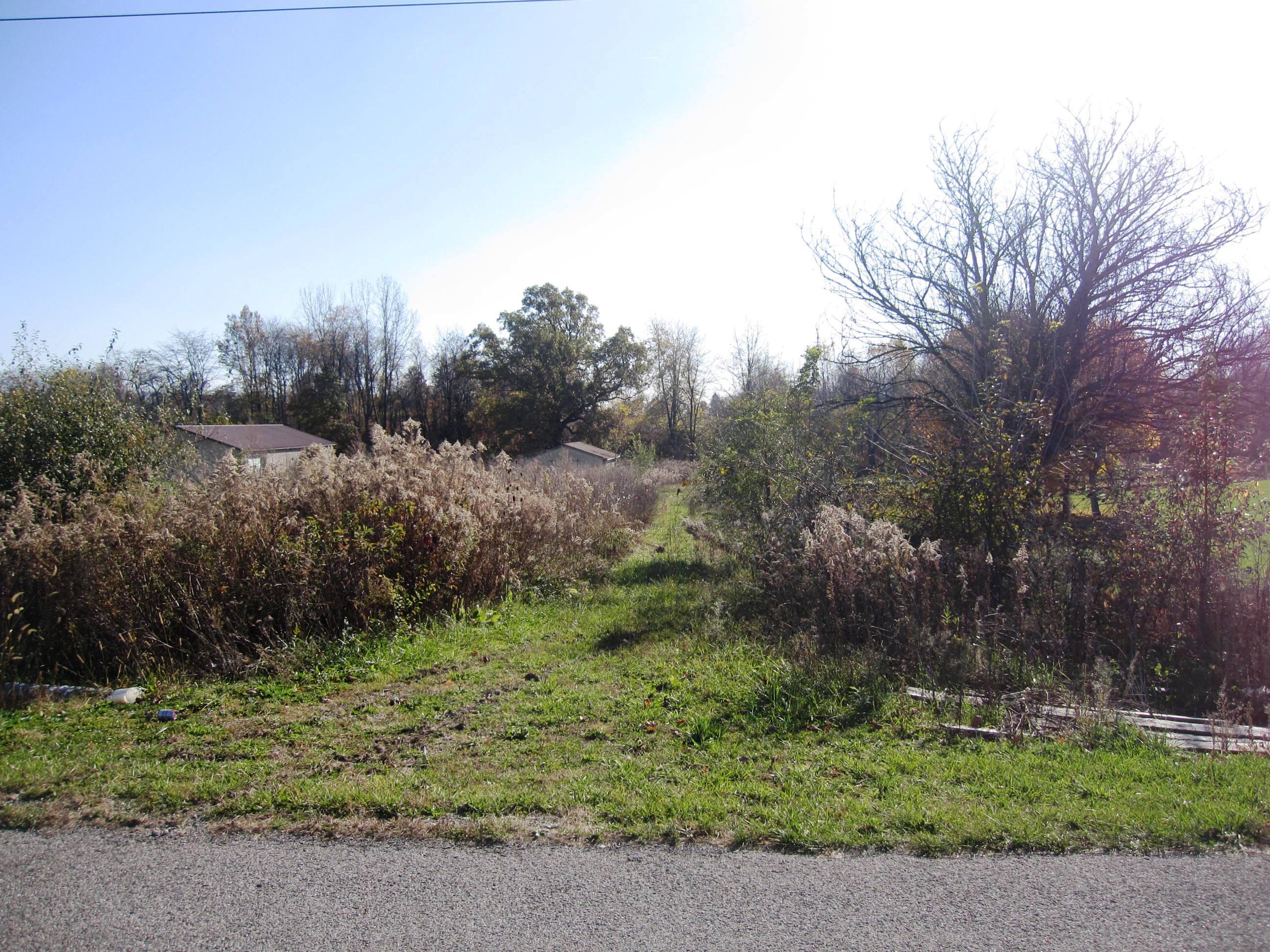 0 Roberts Road Sunbury, OH 43074 - Photo 2 of 3 Gallery Image 2
