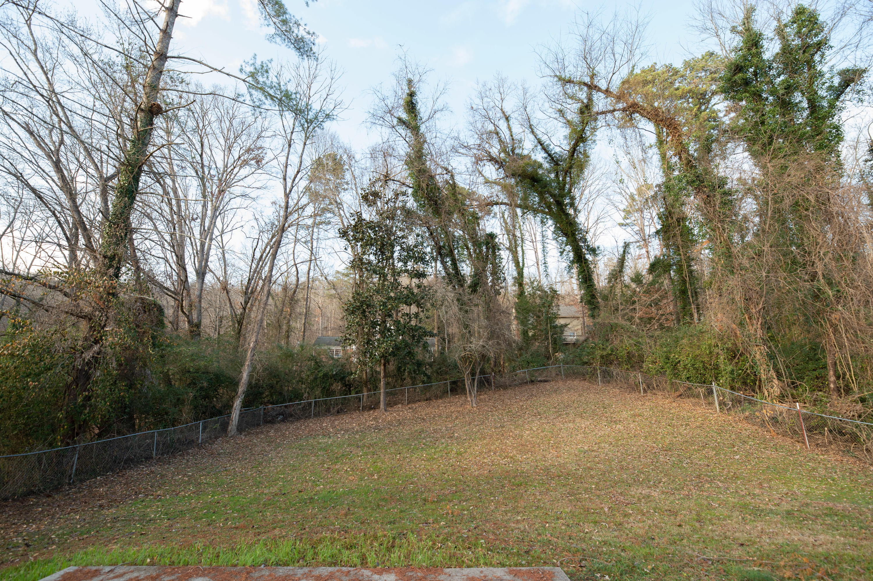 103 Balboa Circle Oak Ridge, TN 37830 - Photo 29 of 30 103BalboaCircle-138