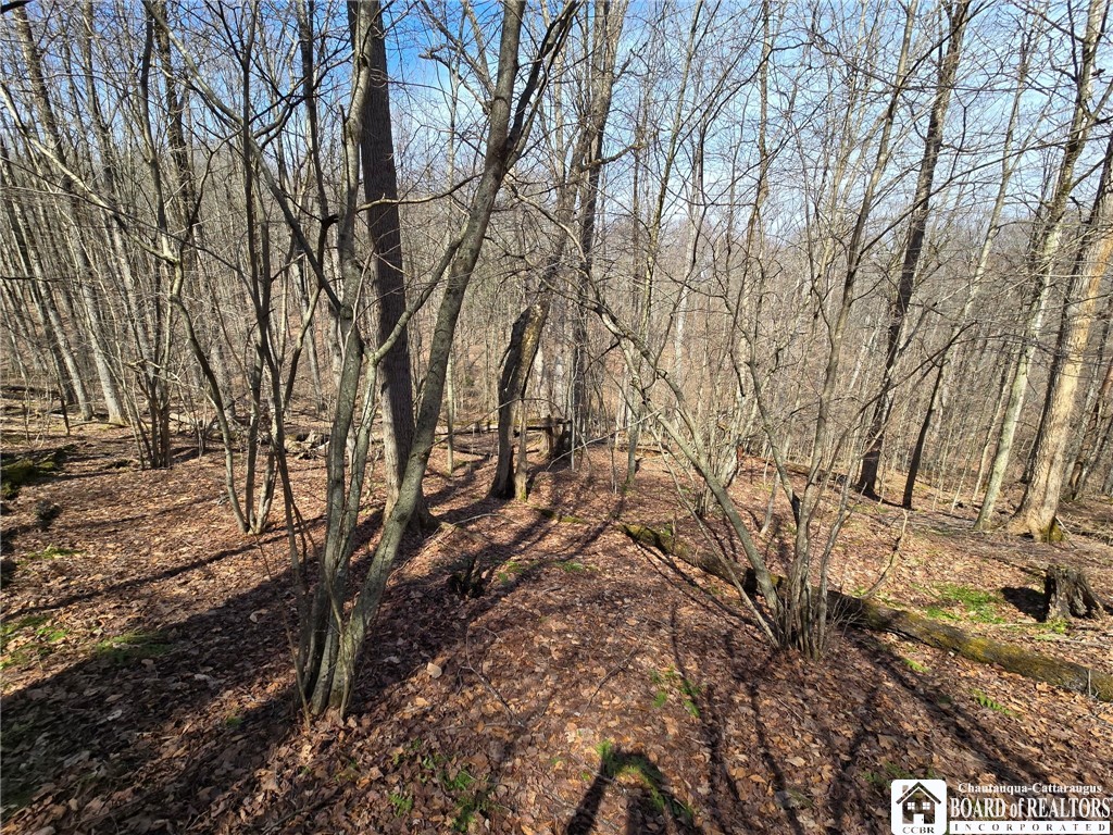 0 West Cobb Road Falconer, NY 14733 - Photo 48 of 49