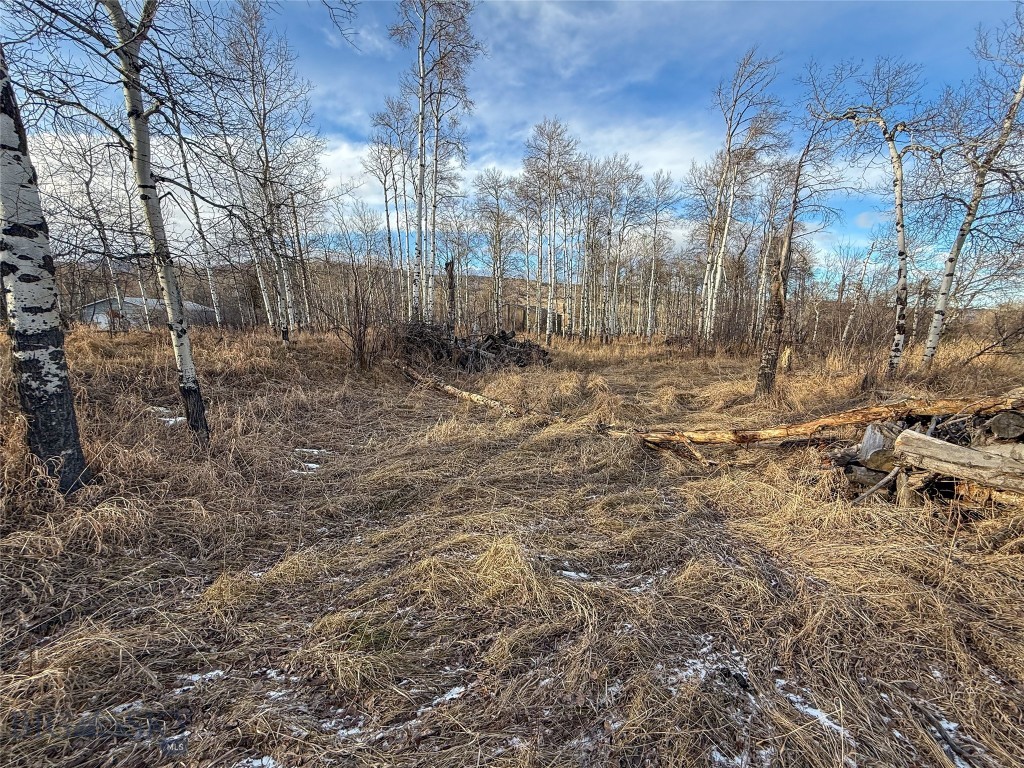 Tbd East Boulder Road McLeod, MT 59052 - Photo 13 of 16 Gallery Image 13