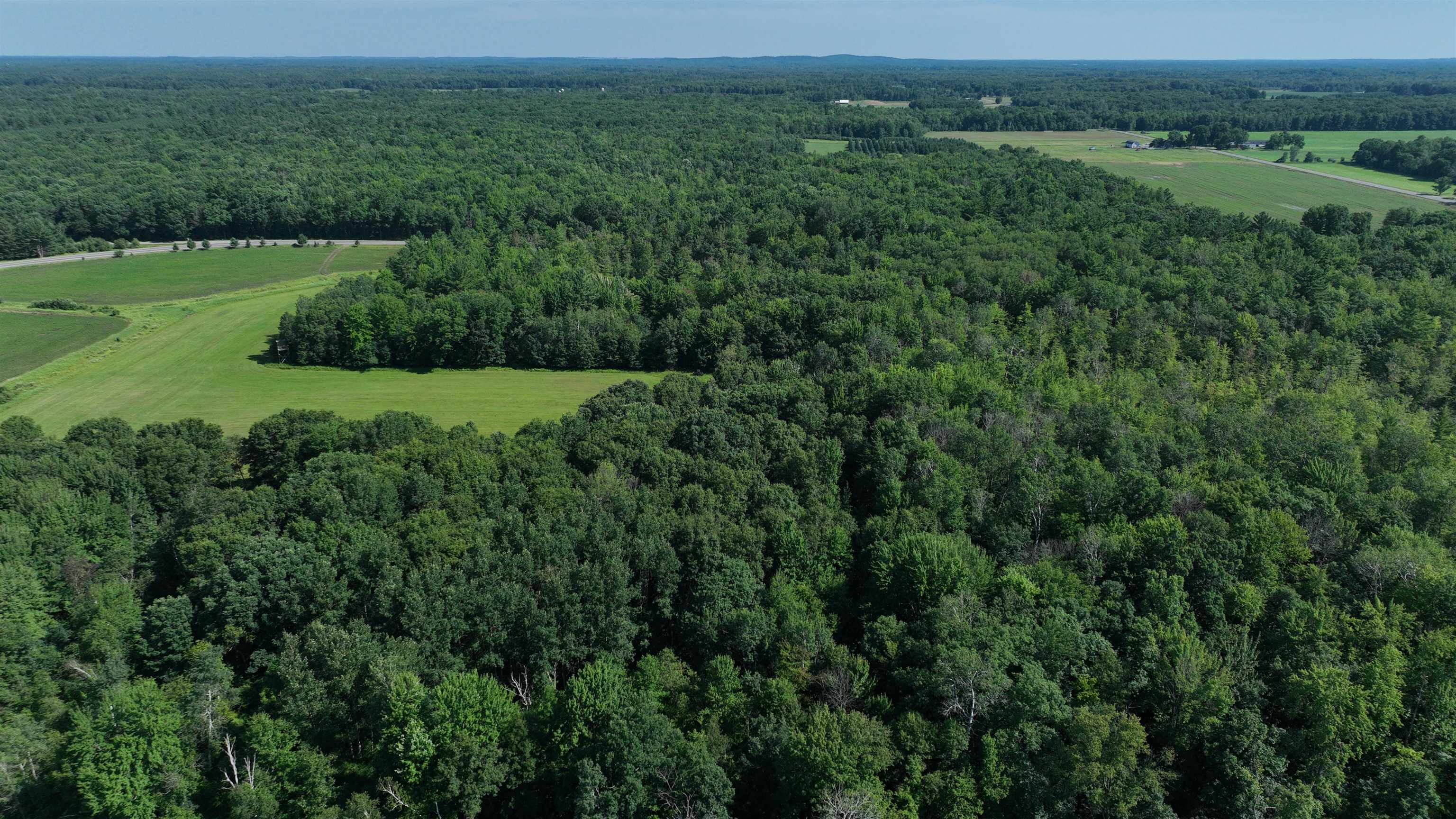 38.85-ac County Road East Pittsville, WI 54466 - Photo 22 of 50