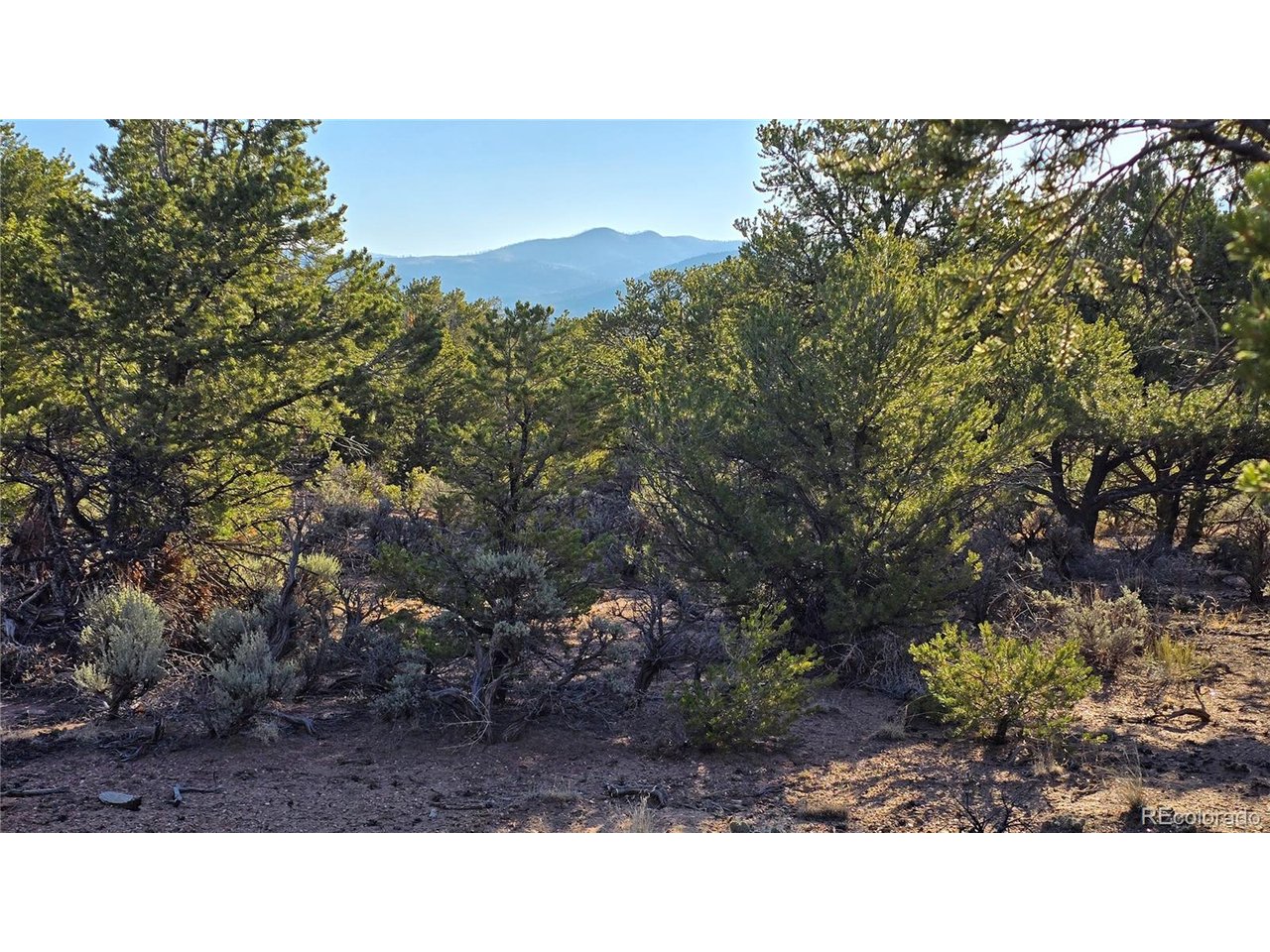 7313 Butcher Road Fort Garland, CO 81133 - Photo 13 of 44 Gallery Image 13