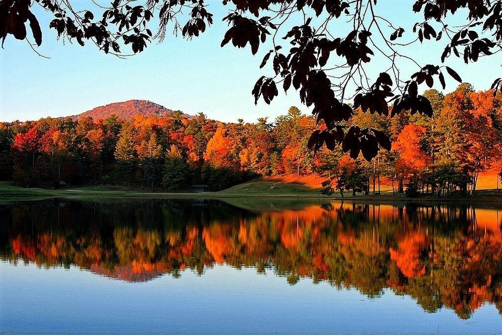 135 Wolfscratch Drive Jasper, GA 30143 - Photo 15 of 18 a view of lake with mountain