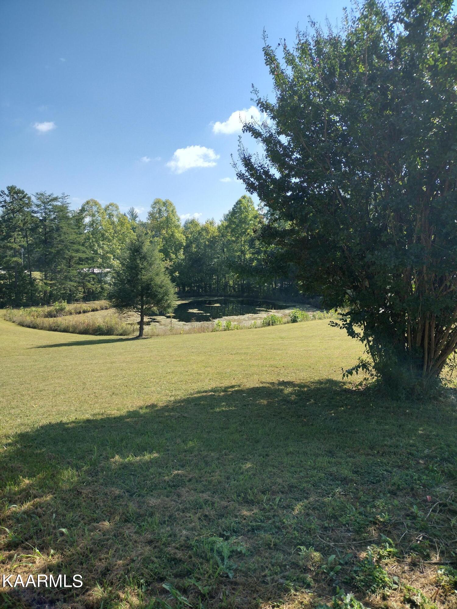 1937 Leatherwood Road Oneida, TN 37841 - Photo 16 of 60 IMG_20220920_113027462_HDR